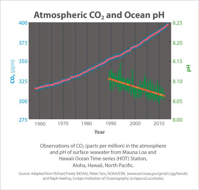 2nd_story_atmosphericco2-ocean-ph.jpg
