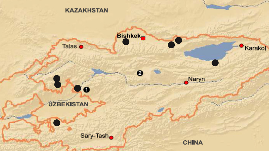 ups-kyrgyzstan_1140x640.jpg