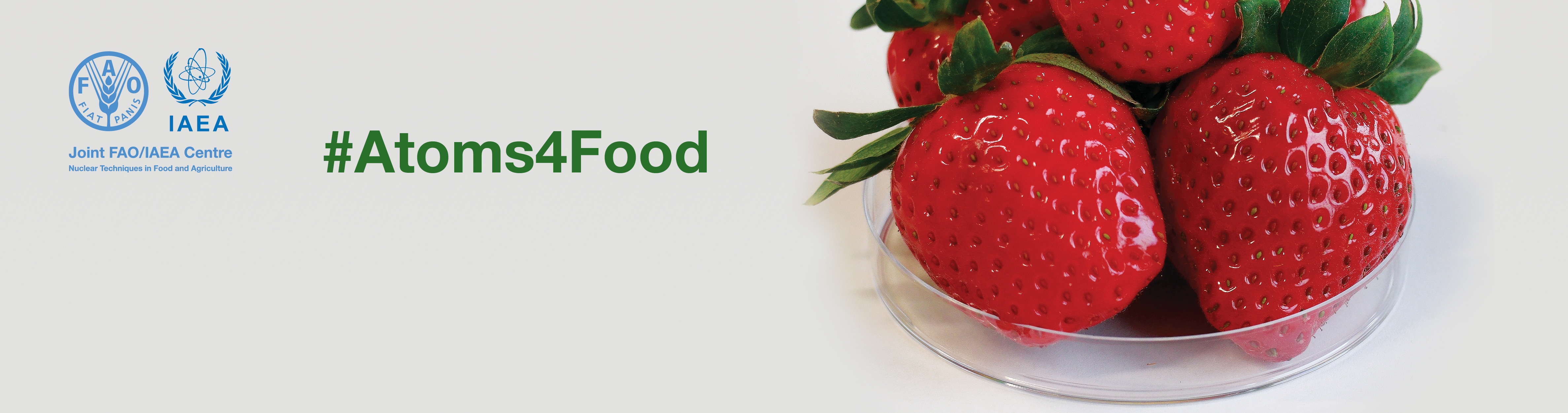 
<span>International Symposium on  Food Safety and Control - Logistics and FAQ</span>
