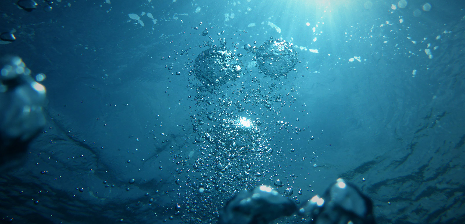 
<span>Rejet de l’eau traitée à la centrale nucléaire de Fukushima Daiichi</span>
