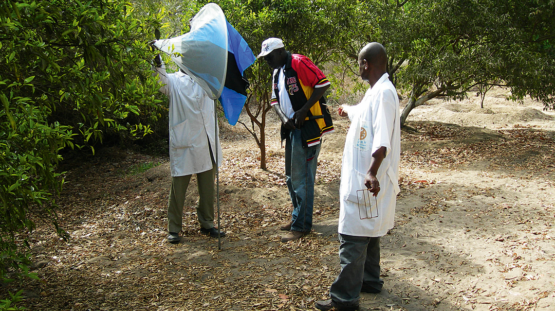 Deployment of a tsetse trap