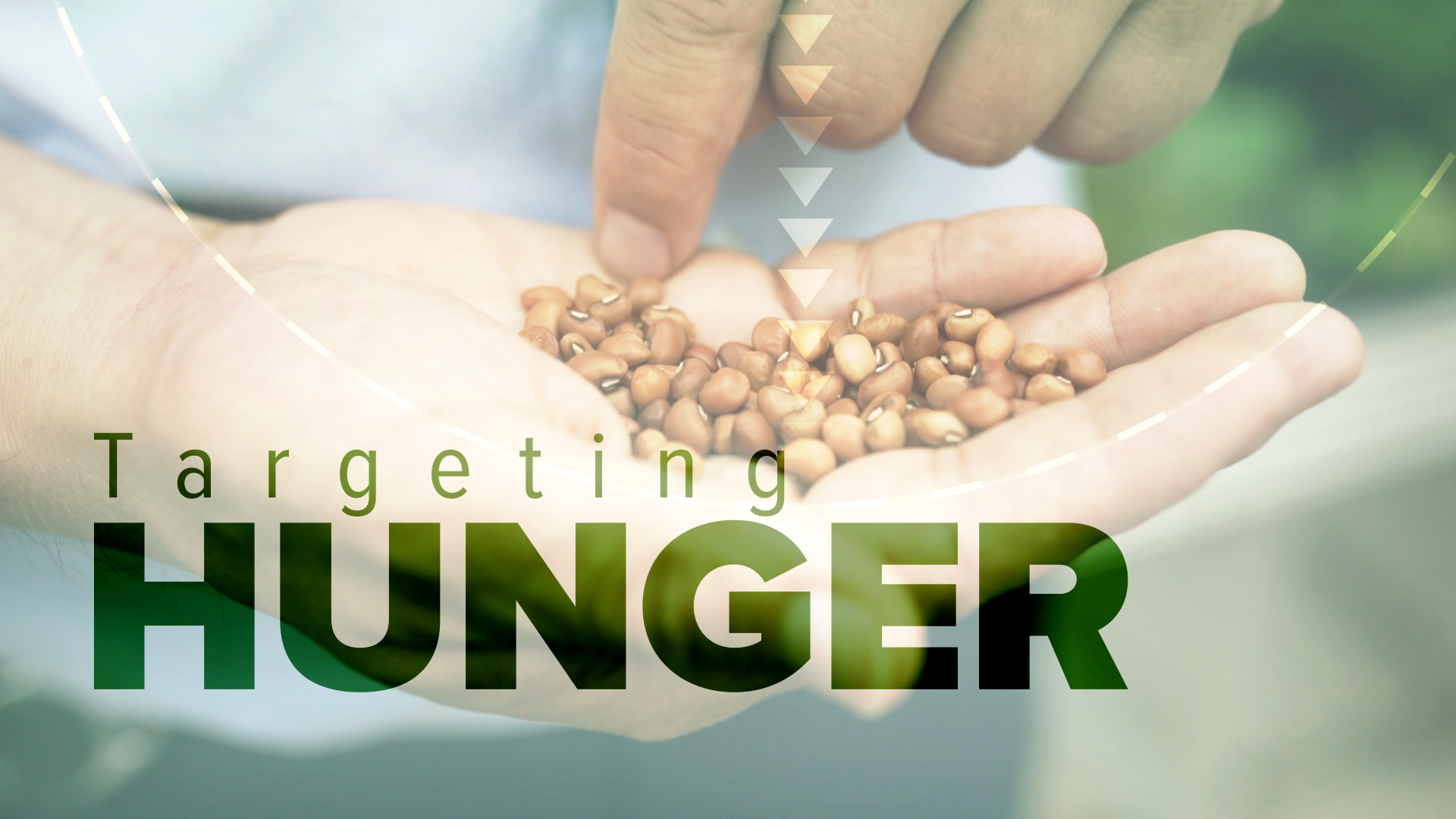 Targeting Hunger with Nuclear Techniques