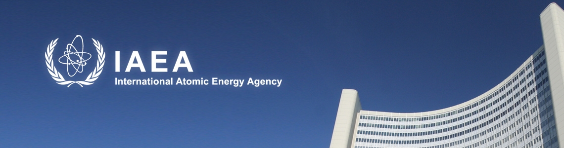 
<span>Information Concerning the Personal Data Privacy Policy of the International Atomic Energy Agency</span>
