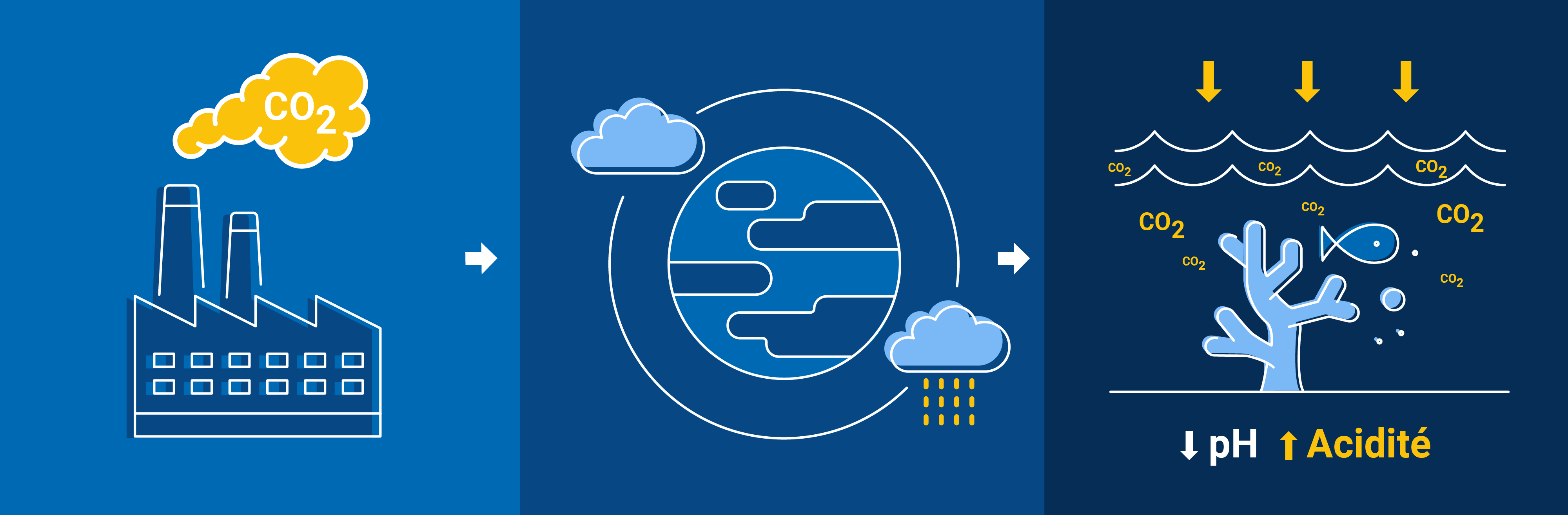 22.06_what_is_ocean_acidification-acidity-fr.png