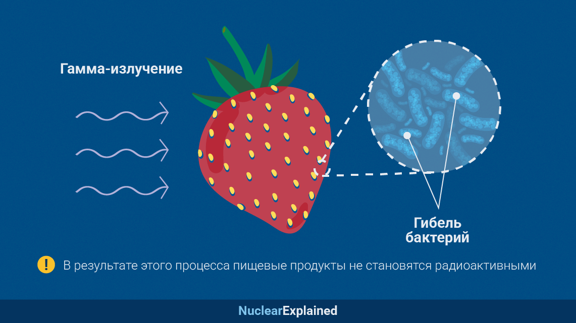 250128_what_is_food_irradiation_ru_-_2.png