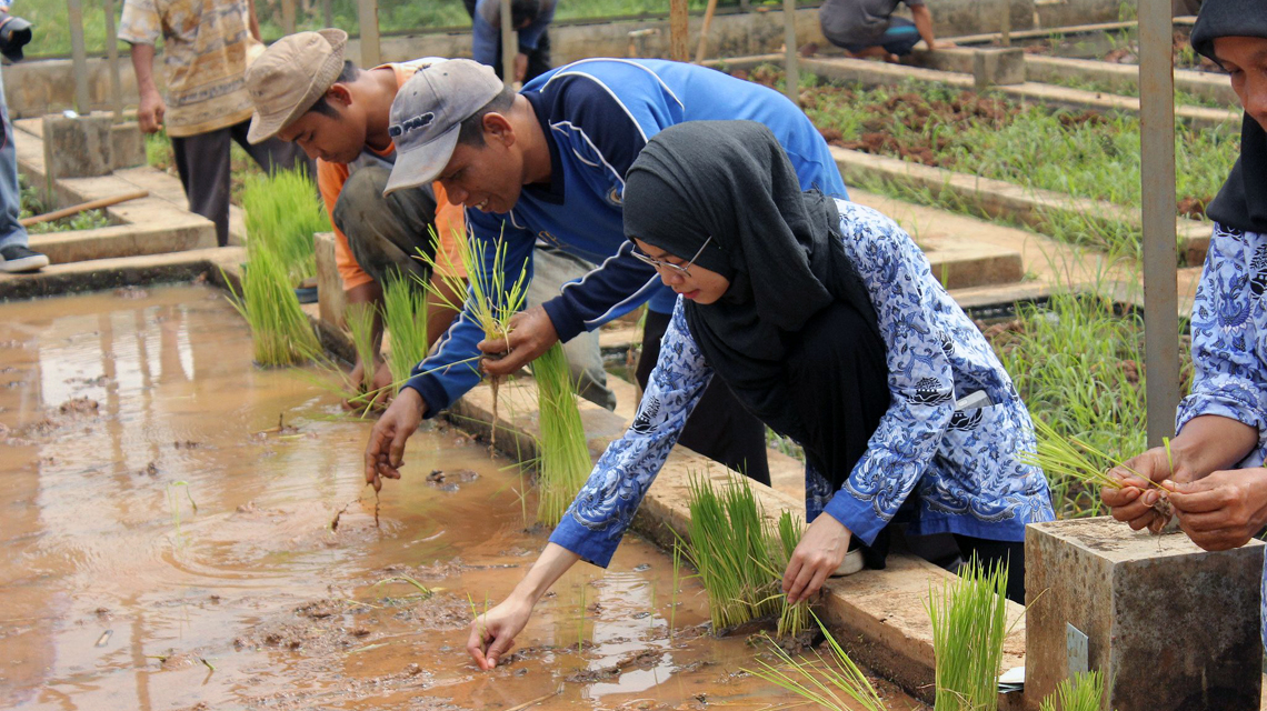 batan-workers-indonesia-1140x640.jpg
