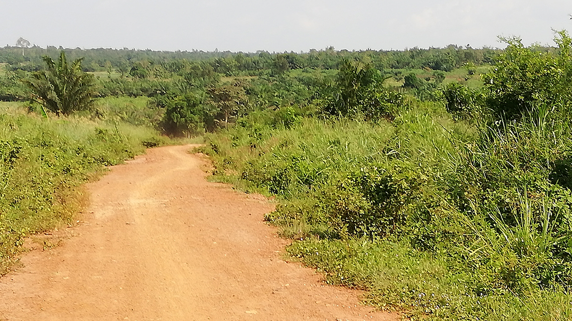 benin-soil-erosion1-1140x640.jpg