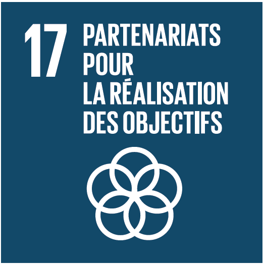 bulletin_sdg17_fr.png