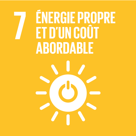 bulletin_sdg7_fr.png