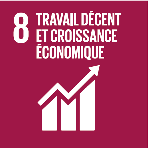 bulletin_sdg8_fr.png