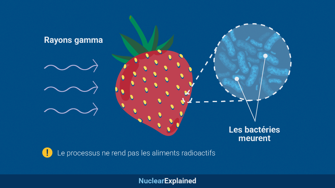 en-quoi-consiste-irradiation-des-aliments-rayons_gamma-fr.png