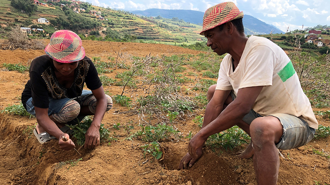 farmers-madagascar-1140x640.jpg
