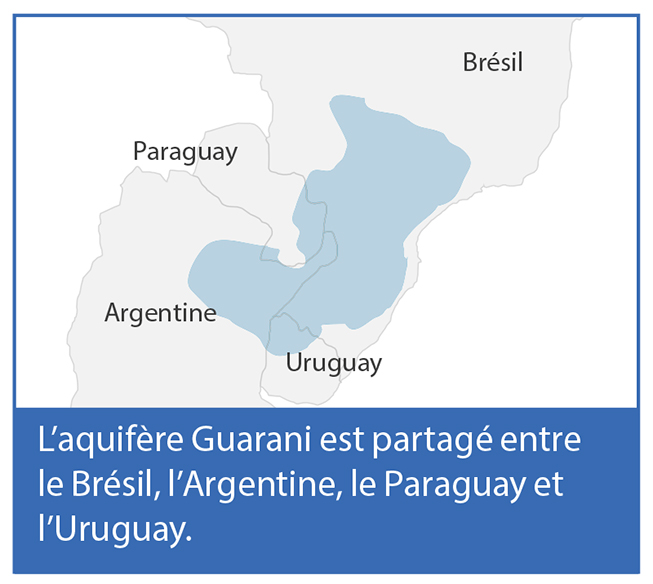 guarani-fr-653x584.jpg