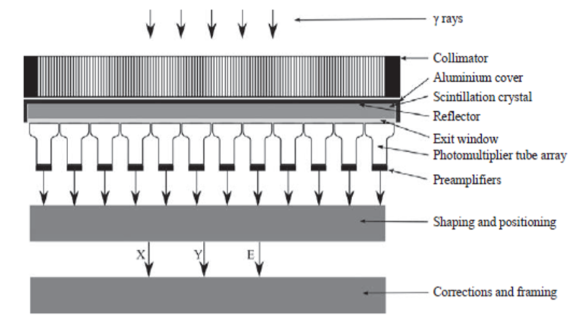 hhc-drmp-gamma-camera-diagram.png