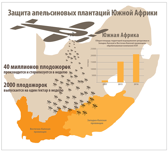 infographic-mothsrelease-rus_653x590.jpg