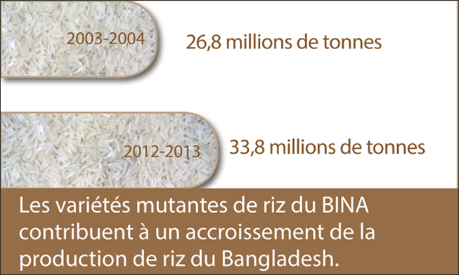 infographic_rice2-fr-653x392.jpg