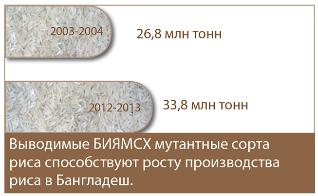 infographic_rice2-rus-653x403.jpg