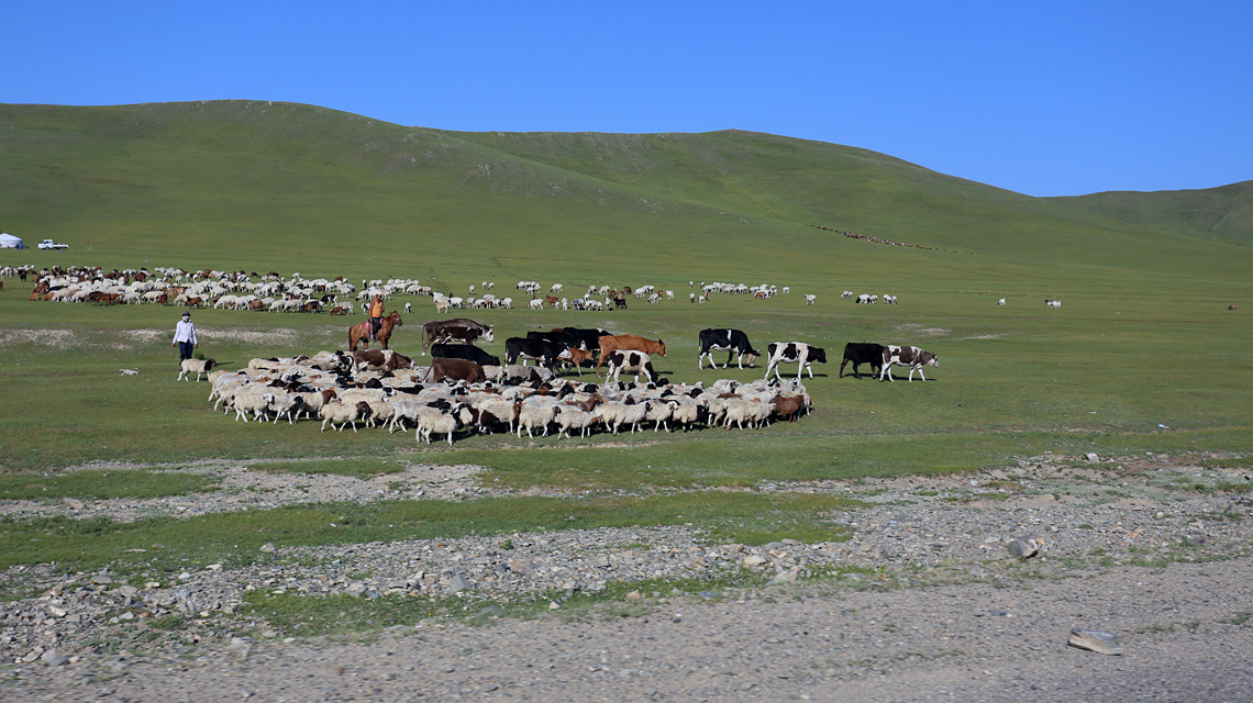 mongolia2-1140x640.jpg