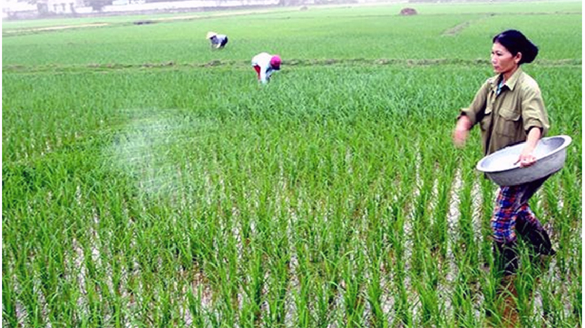npk-fertilizer-viet-nam-2240x640.jpg