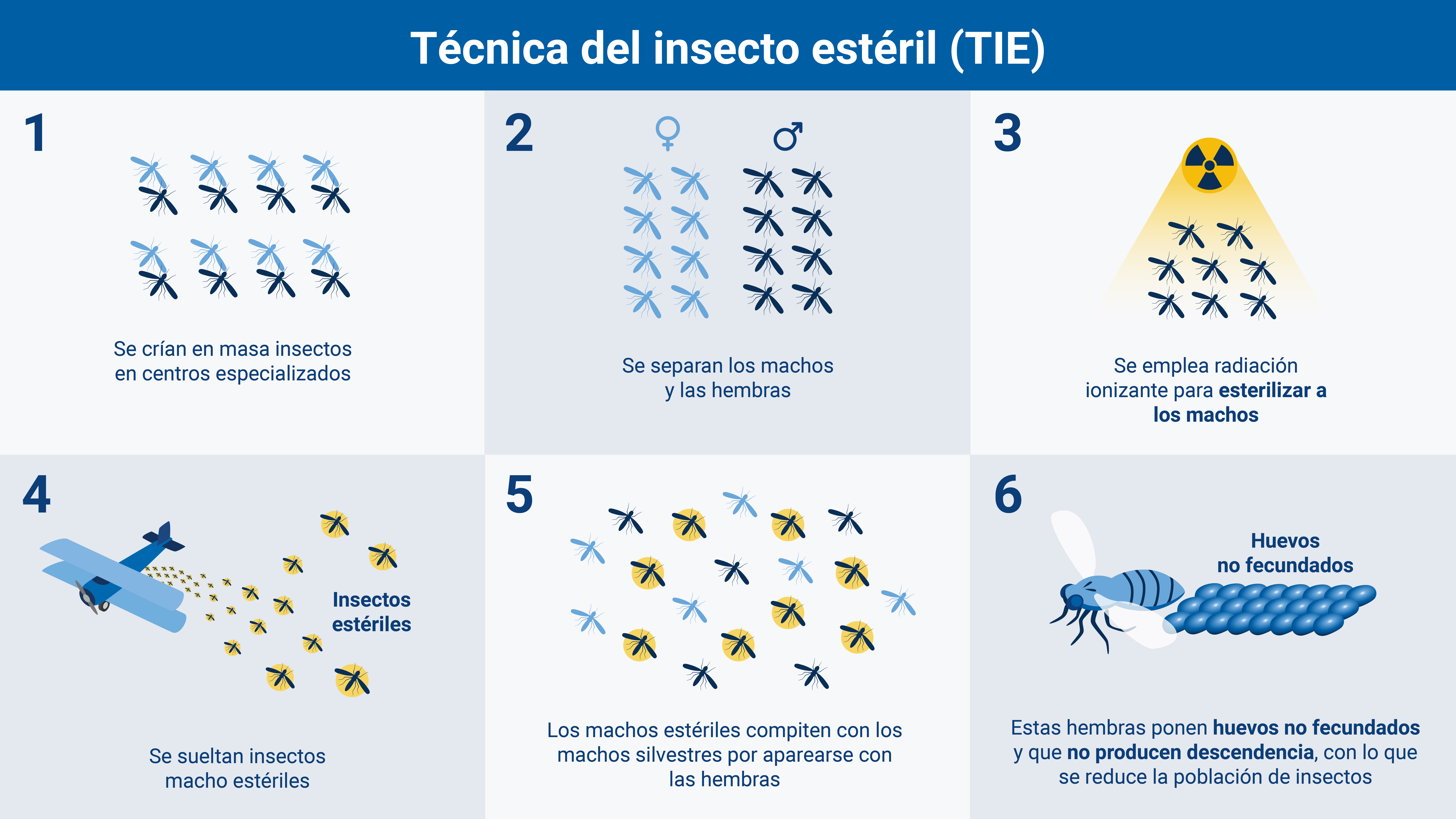 pest_control-sp_01_insect_technique_sit.jpg