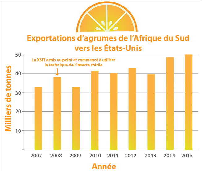 sacitrusexportstous-fr-653x553.jpg