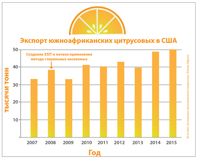 sacitrusexportstous-rus-653x525.jpg