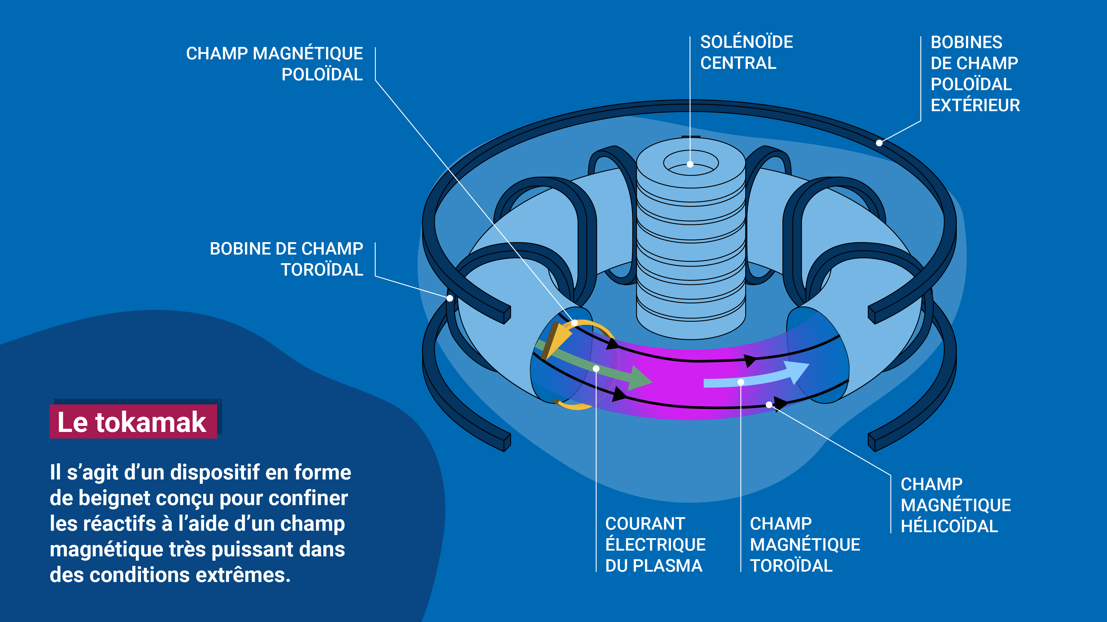 nuclear-fusion-explainer-tokamak-fr.png