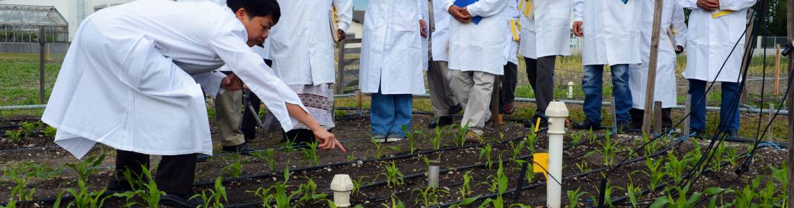 Soil and Water Management and Crop Nutrition Section