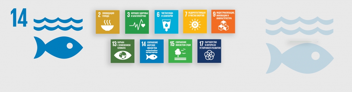 SDG-14-Russian