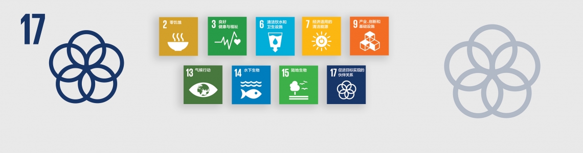 SDG-17-Chinese