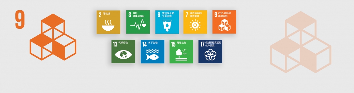 SDG-9-Chinese
