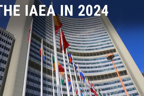 VIDEO: The IAEA in 2024