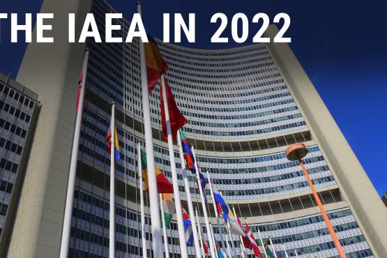 The IAEA in 2022