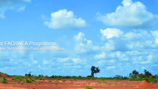 Addressing impact climate change