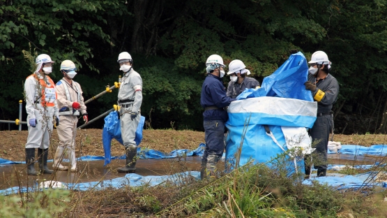 nuclear environmental remediation