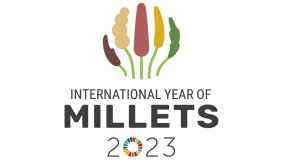 International Year of Millets 2023