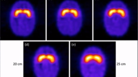 Nuclear Medicine Physics on-line seminars