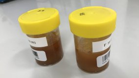 原子能機構啟動幫助各國打擊食品造假的項目