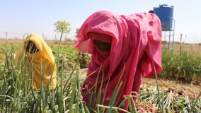 L’AIEA et l’UA renforcent leur coopération dans le domaine des applications nucléaires au service du développement en Afrique