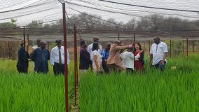 L’AIEA et la FAO mènent une première mission d’évaluation Atoms4Food au Burkina Faso