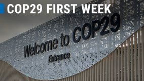 COP29: First Week in Review