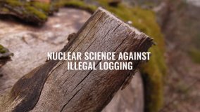 保護森林的生物多樣性（英文）