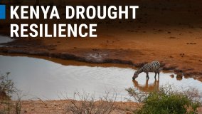 World Environment Day: Drought Resilience in Kenya