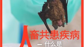 人畜共患疾病：什么是人畜共患疾病？
