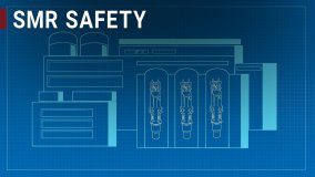 The Safety and Security of Small Modular Reactors