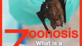 Zoonosis: What is a Zoonotic Disease?