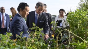 МАГАТЭ и ФАО запускают флагманскую инициативу Atoms4Food, которая призвана расширить использование ядерных технологий для обеспечения глобальной продовольственной безопасности