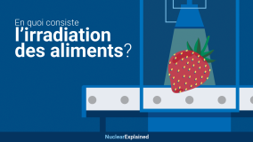 En quoi consiste l'irradiation des aliments ?