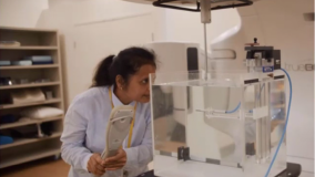 Cross Calibration of Field Ionization Chambers in High Energy Photon Beams