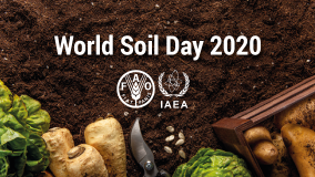 World Soil Day